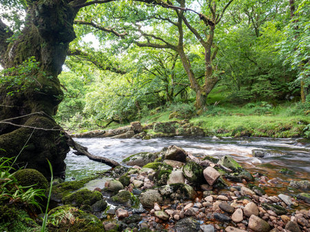 fast flowing water of river tavy near bridge in UK national park dartmoorの写真素材
