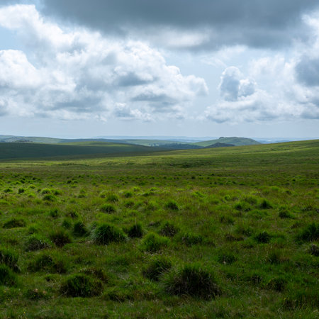 national park dartmoor in the UK is a wonderful nature reserve with hills, tors and wild natureの写真素材