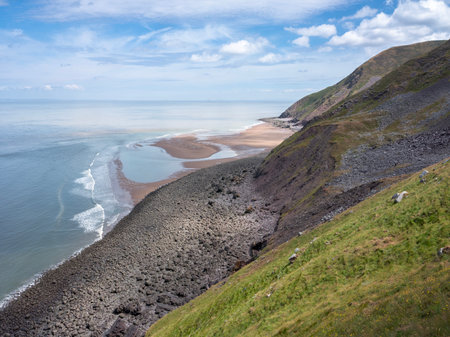 early blooming heather in summer landscape near bossington beach and ocean in british national park exmoorの写真素材
