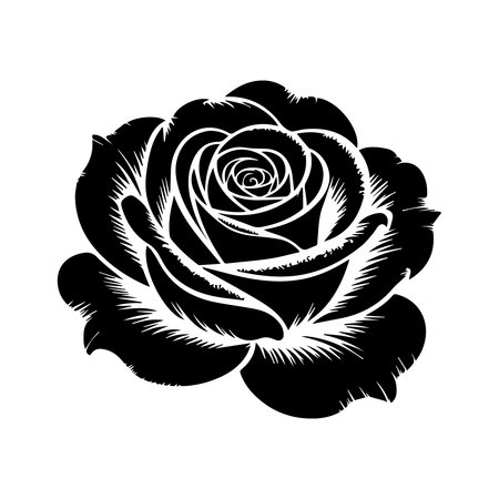 Black rose on a white background. Vector illustration for your design.のイラスト素材