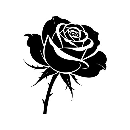 Black rose silhouette isolated on white background. Vector illustration for your designのイラスト素材