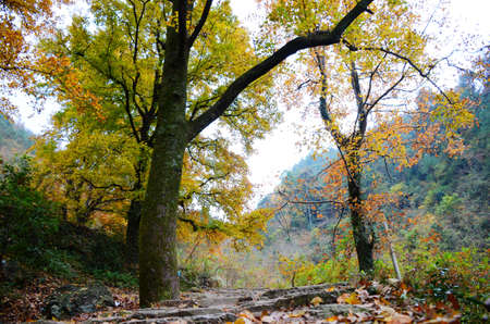 Slate Trailの写真素材