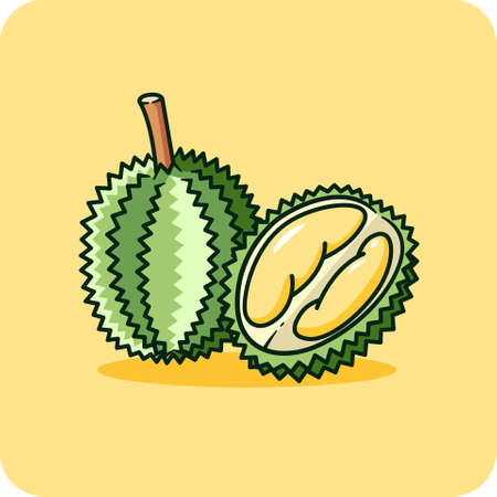 Durian skin has thorns. Cut in half, see the durian flesh inside ,vector design and isolated background.のイラスト素材