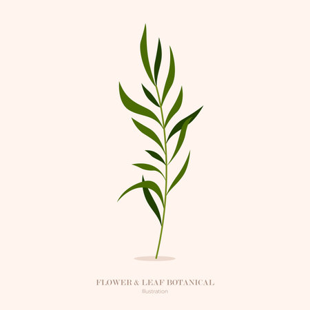flower and Green leaf botanical illustration and flat design.&#xD;&#xA;のイラスト素材