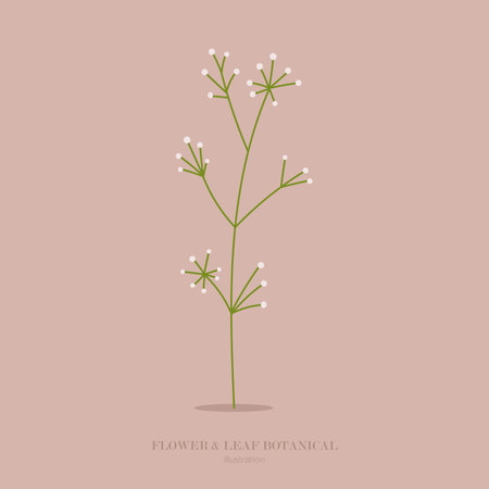 flower and grass botanical line art and doodle illustration.&#xD;&#xA;のイラスト素材