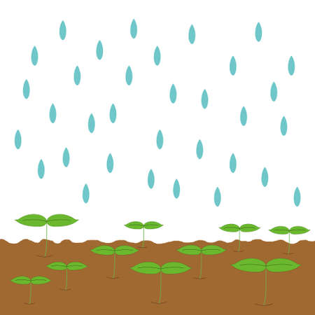 It rains on sprouts growing on the ground vector image illustrationのイラスト素材