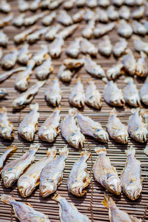 Dray Salt Fish, Traditional chinese foodの写真素材