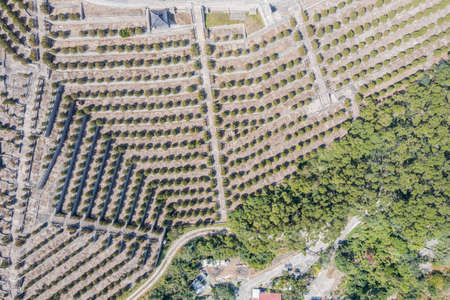 Public cemetery in Hong Kongの写真素材
