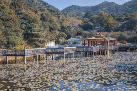 Traditional Chinese Park and Garden next to a Lake, Hong Kong, Outdoor, daytimeの写真素材