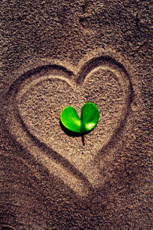 Green is symbol of life and Heart is symbol of Loveの写真素材