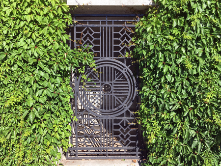 Gateway to the Secret Gardenの写真素材