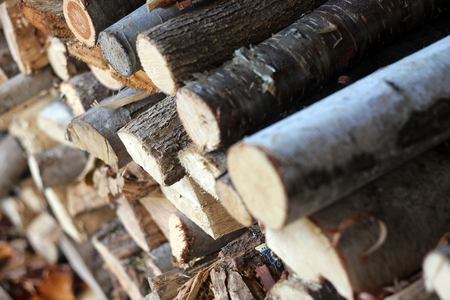 Fire Wood Pile in Autumnal Northern Vermontの写真素材
