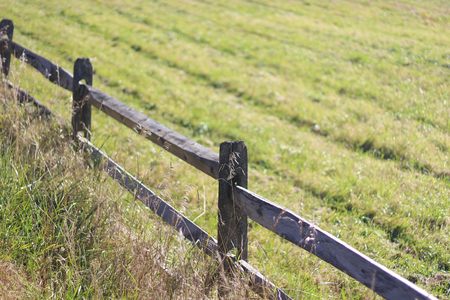 Perimeter Field Fence in Autumnal Northern Vermontの写真素材