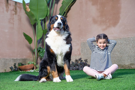 Girl sitting on the grass with big dog Bernese Mountain Dogの写真素材