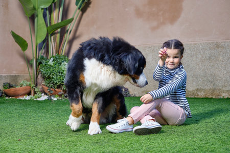 Girl sitting on the grass with big dog Bernese Mountain Dogの写真素材