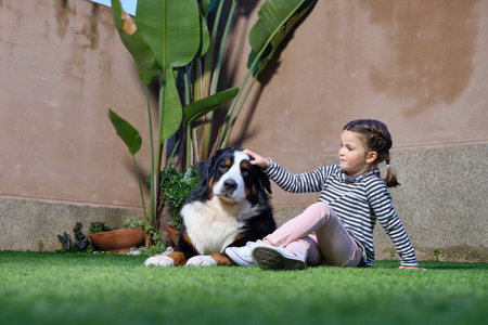 Girl sitting on the grass with big dog Bernese Mountain Dogの写真素材