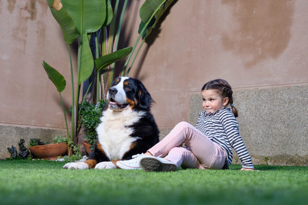 Girl sitting on the grass with big dog Bernese Mountain Dogの写真素材