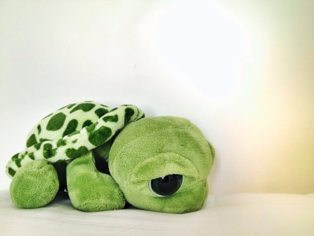 Turtle toyの素材