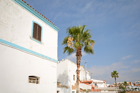 Algarve: Traditional houses and palms in the fishing village of Ferragudo near Portimao Portugalのeditorial素材