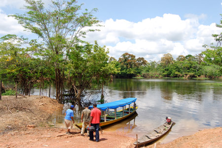 Amazon rainforest - Canoe expedition at the river near Manaus, Brazil South Americaのeditorial素材