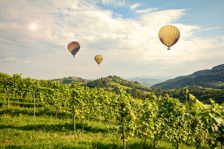 Hot air balloons flying over the vineyards along South Styrian Wine Road, Austria Europeの写真素材