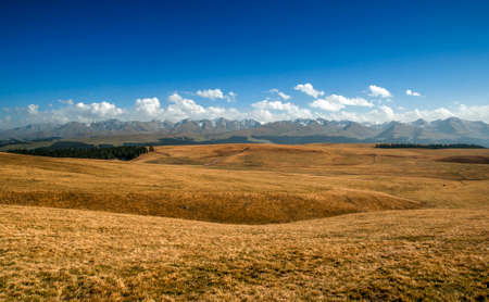 Grassland in Xinjiang, Chinaの写真素材