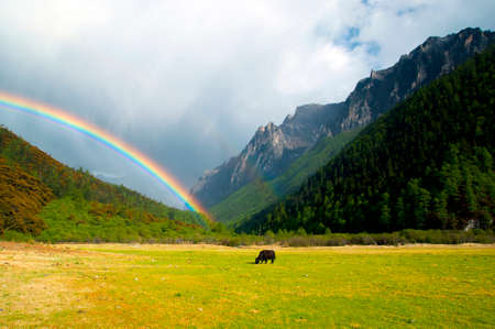 Natural scenery at Daocheng, Yadingの写真素材