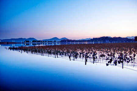 Hangzhou West Lake sunsetの写真素材