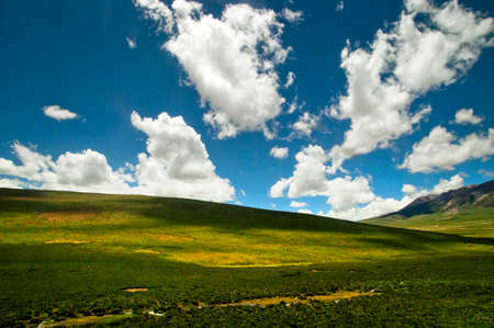 The sun shines on the grassの写真素材
