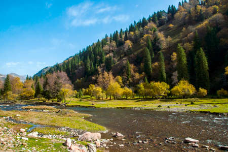 Scenery on the prairieの写真素材
