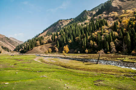 Grassland sceneryの写真素材