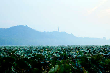 Hangzhou West Lake in the morningの写真素材