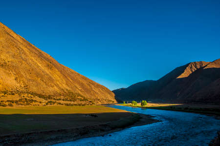 The sun shines on the treesの写真素材