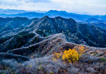 Autumnの写真素材