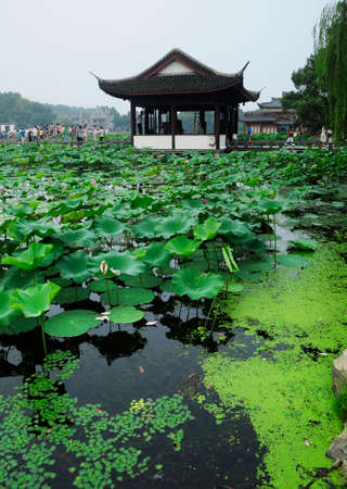 Chinese gardenのeditorial素材