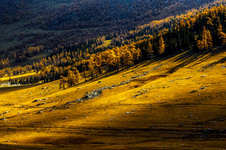 Autumn prairieの写真素材