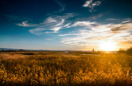 Wetlandの写真素材