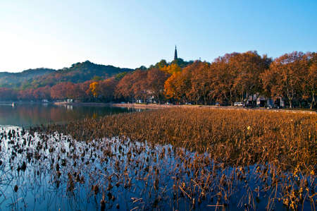 Hangzhou West Lake in Autumnのeditorial素材
