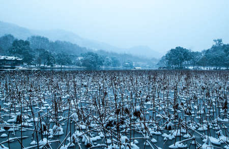 Hangzhou West Lake in snowの写真素材