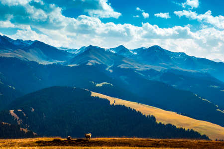 Kalajun prairie Grand Canyon, Xinjiang China