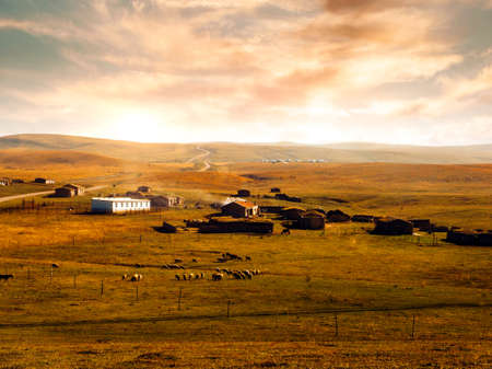 Autumn prairieの写真素材