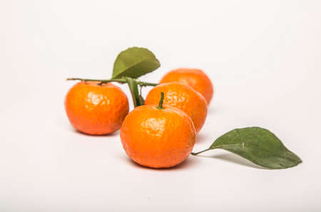 mandarin orangeの写真素材