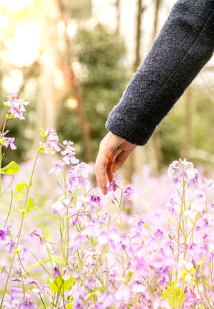 spring outingの写真素材