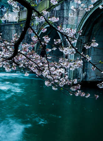 China Prince Bay Park, Hangzhouの写真素材