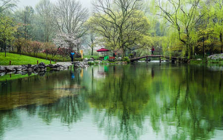 springのeditorial素材