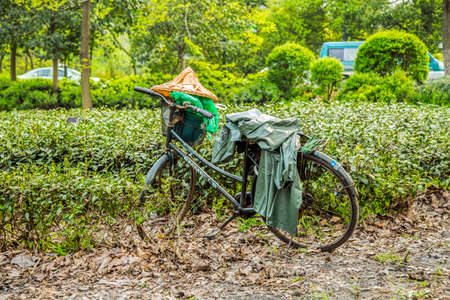 close up of biycle in the tea plantationのeditorial素材