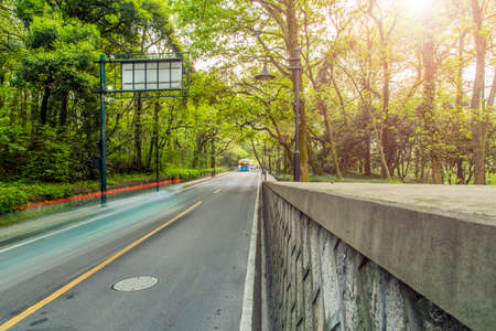 Spring scenery の写真素材