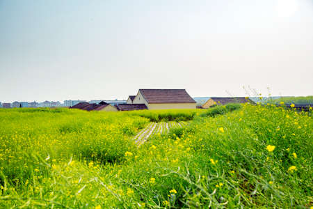 Springの写真素材