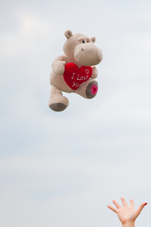 reaching out for a soft toy holding a red heart I love youの写真素材