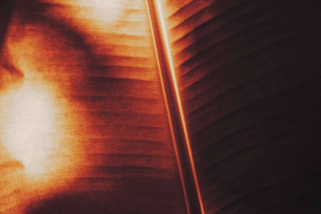 Banana Leaf in Thailand 2の写真素材